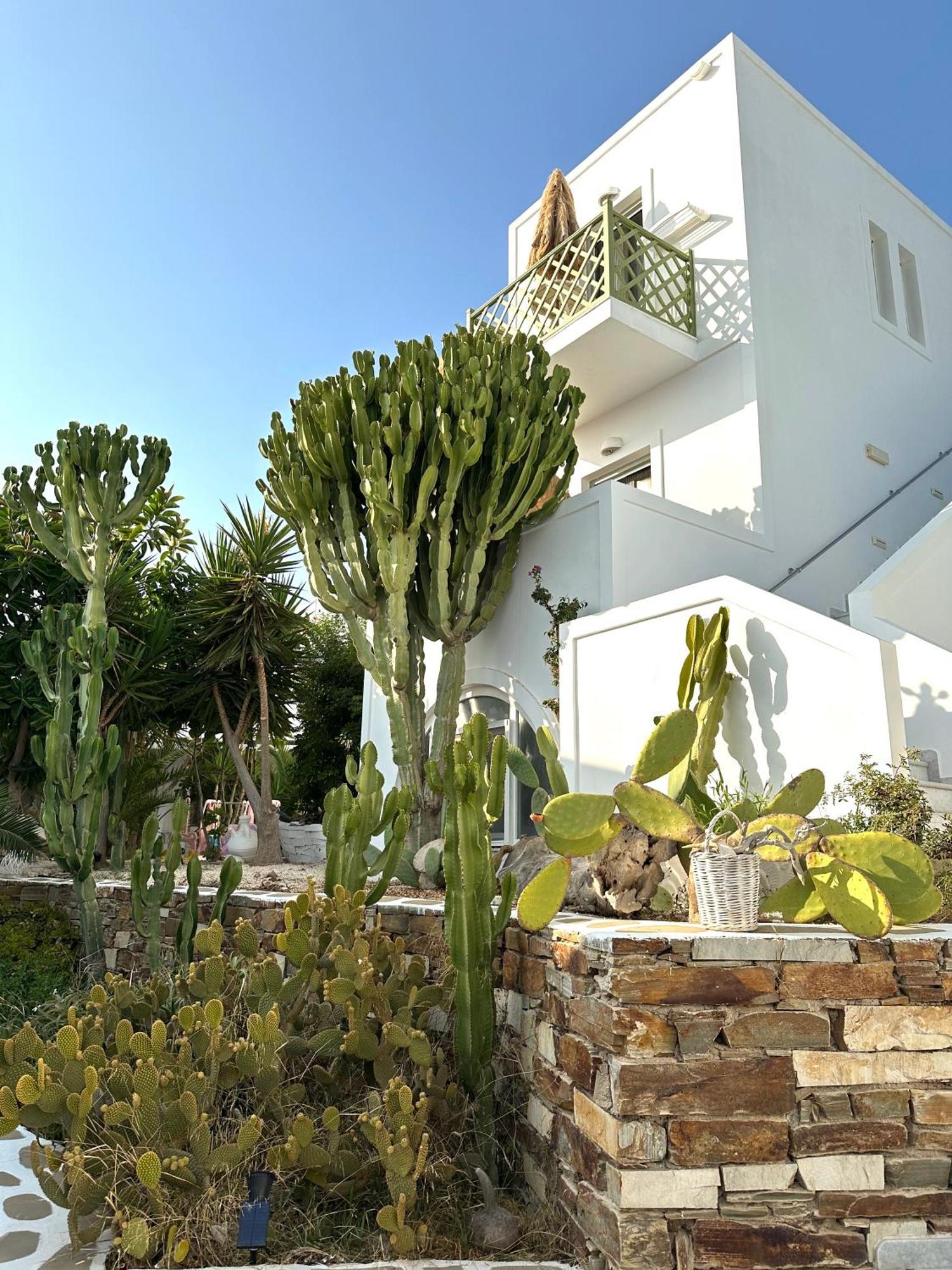 Artemis Hotel Antiparos Town المظهر الخارجي الصورة