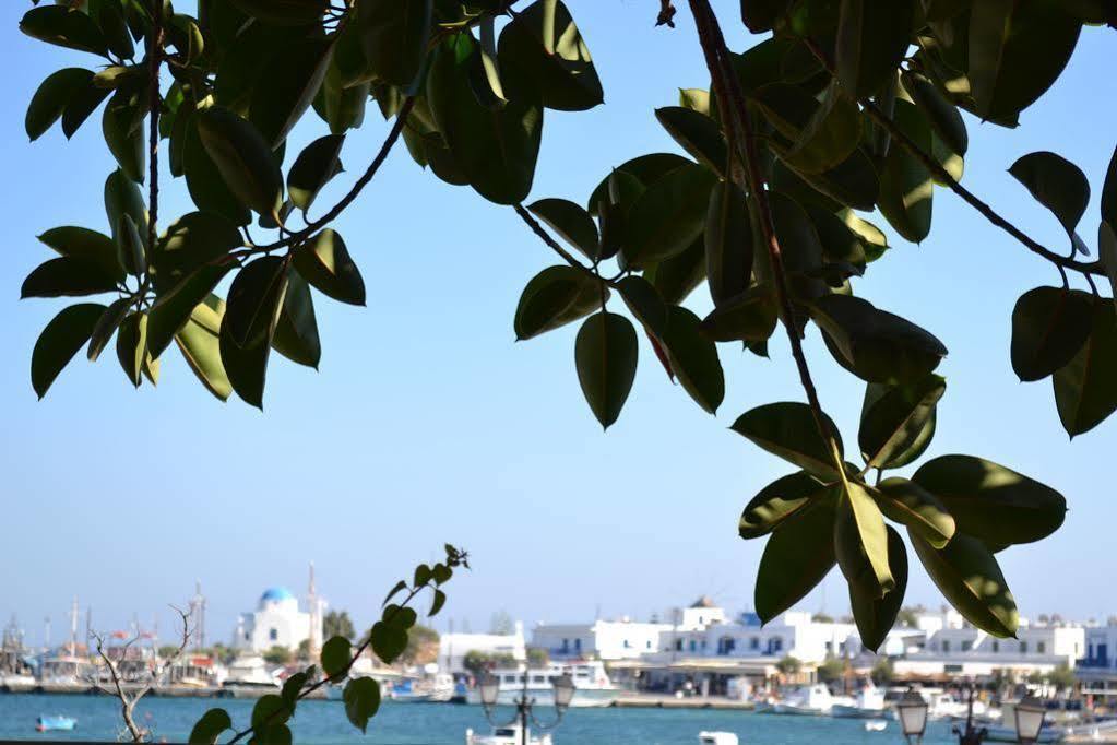 Artemis Hotel Antiparos Town المظهر الخارجي الصورة