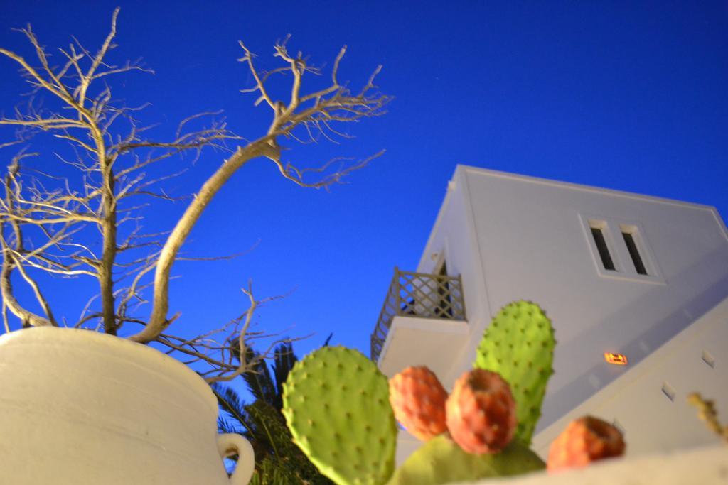 Artemis Hotel Antiparos Town المظهر الخارجي الصورة